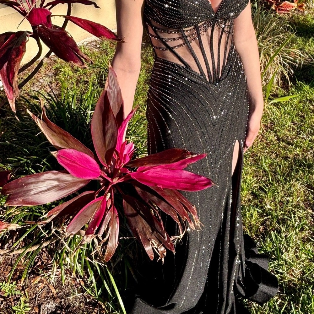Ellie Wilde Elegant Black Dress with sparkling Detailing - Picture 6 of 6